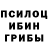 Псилоцибиновые грибы GOLDEN TEACHER Baxodir Jovliev