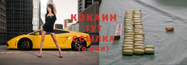 прущие грибы Киренск