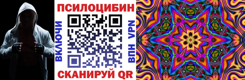 kraken онион  Кисловодск  Псилоцибиновые грибы прущие грибы 