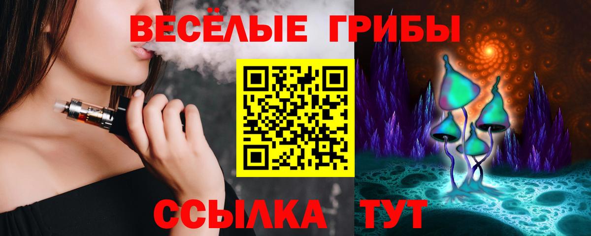 Псилоцибиновые грибы прущие грибы  Вход с VPN  Кисловодск 